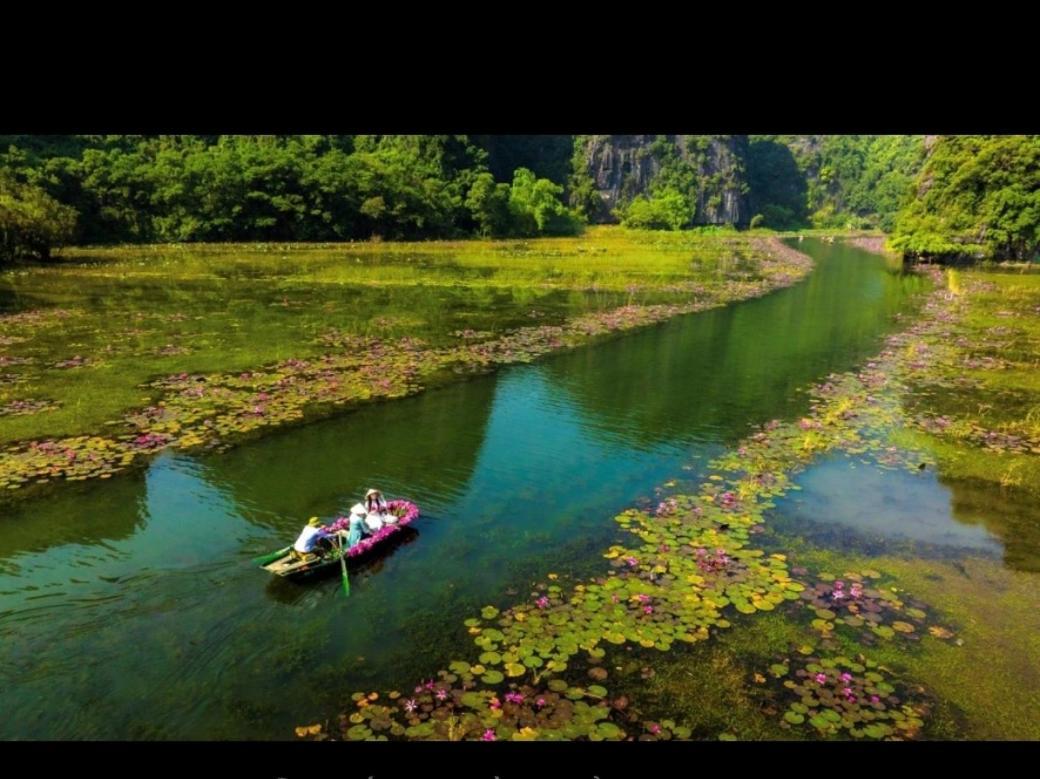 Tam Coc Lullaby Homestay Ninh Binh Eksteriør billede